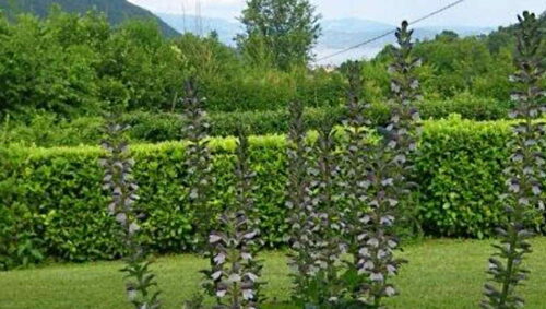 SALÓ VICINANZE VILLA NUOVA IN STILE MODERNO